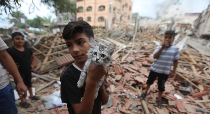 © UNICEF/Mohammad Ajjour A five-year-old boy holds up his cat amidst the wreckage of his home in Gaza.